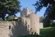 Ruine_Burgaltendorf_1.JPG